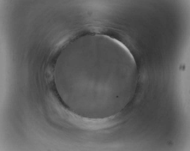 X0000110950043200907022208