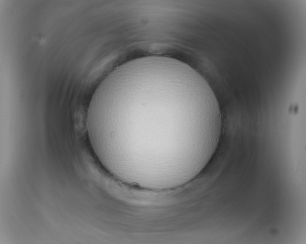 X0000110950044200907022208