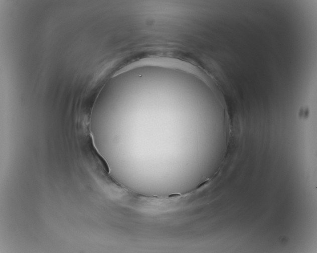 X0000110950045200907022208