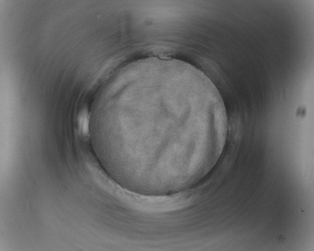 X0000110950046200907022208