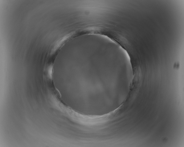 X0000110950047200907022208