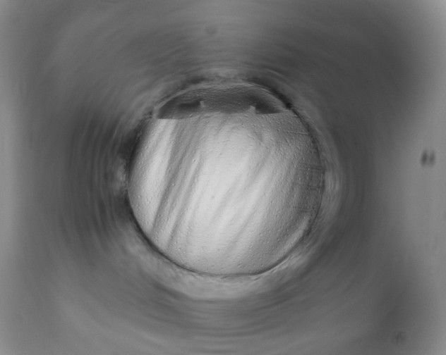 X0000110950048200907022208