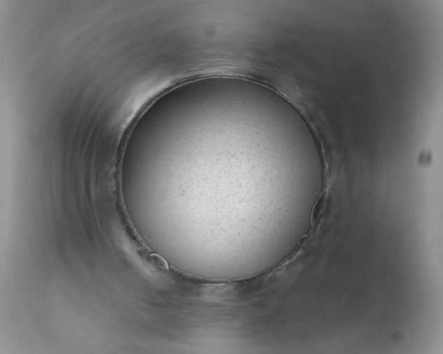 X0000110950050200907022207