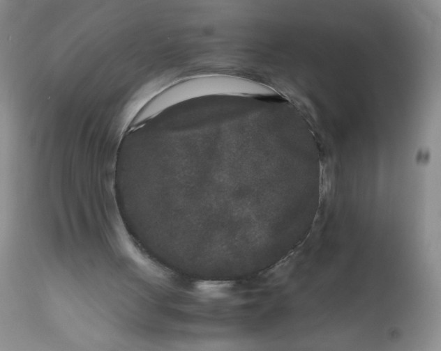 X0000110950051200907022207