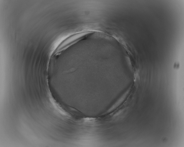 X0000110950052200907022207