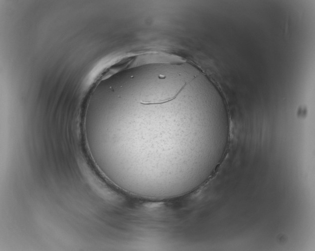 X0000110950054200907022207