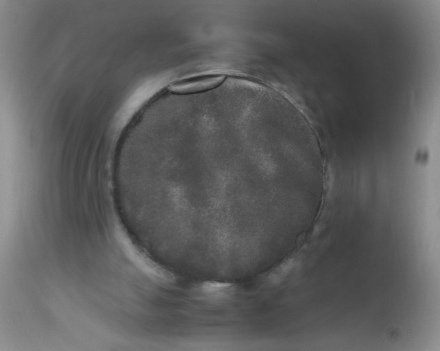 X0000110950055200907022207