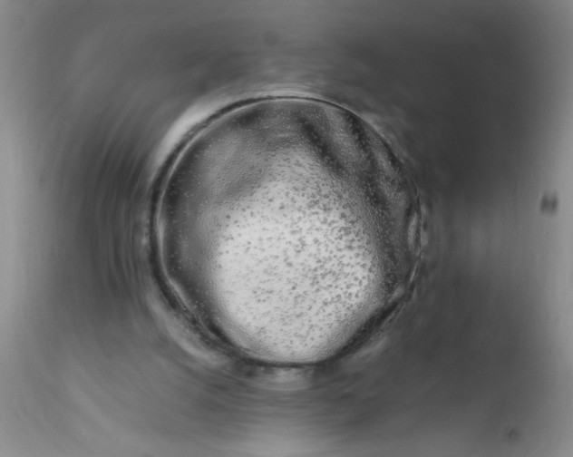 X0000110950056200907022207