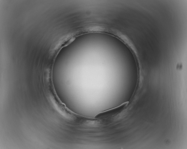 X0000110950057200907022207