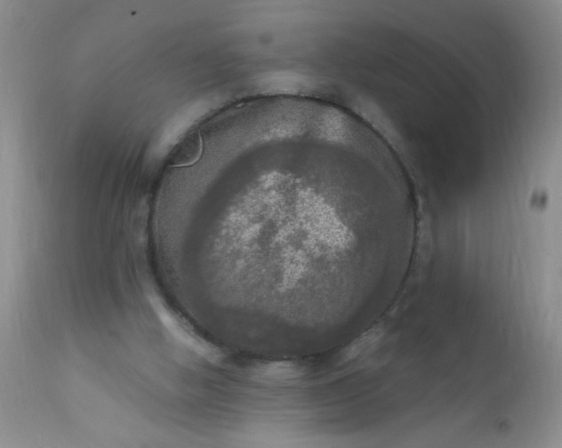 X0000110950058200907022207