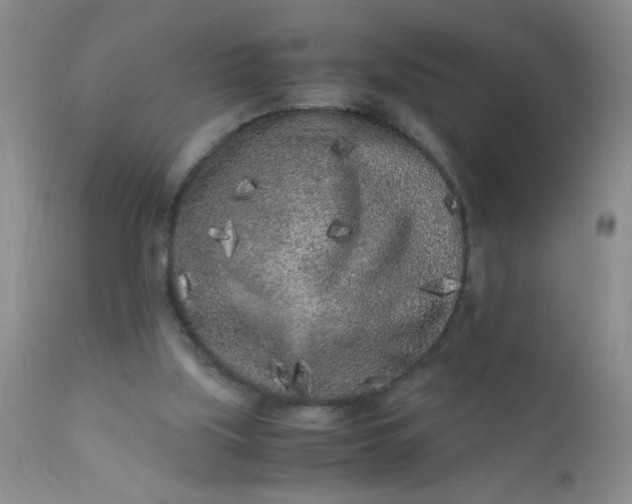 X0000110950059200907022207