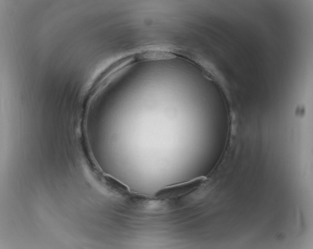 X0000110950060200907022207