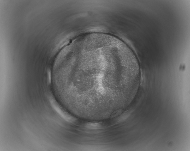 X0000110950061200907022207