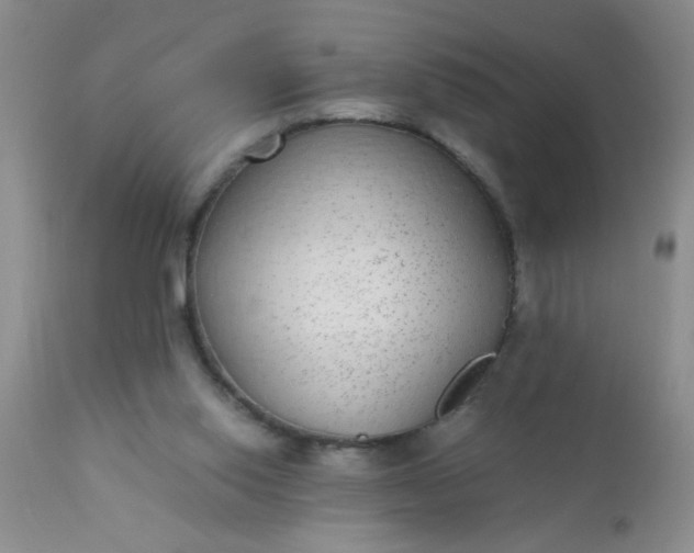 X0000110950062200907022207