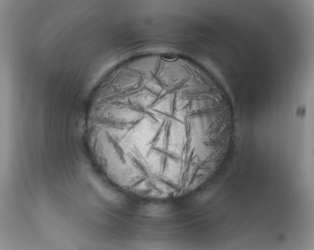 X0000110950063200907022207