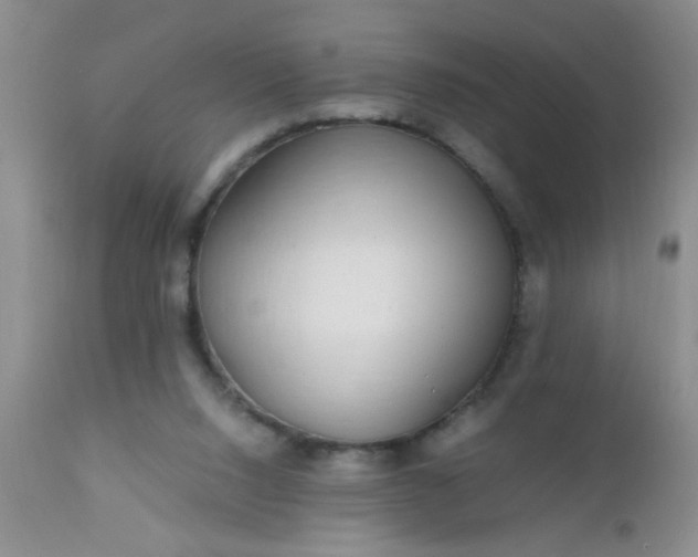 X0000110950064200907022207