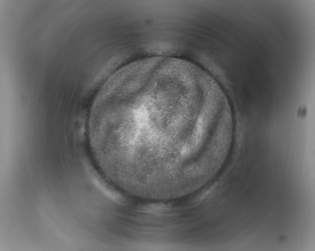 X0000110950065200907022207