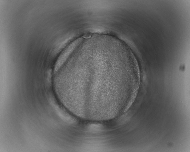 X0000110950066200907022207