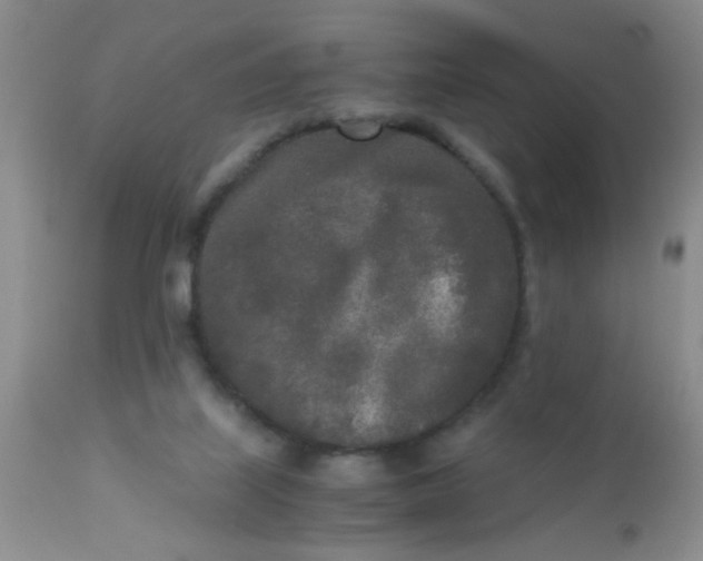 X0000110950067200907022207