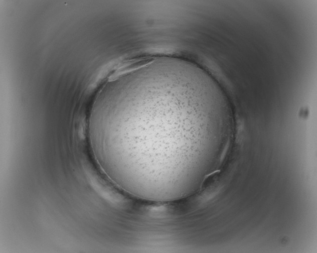 X0000110950068200907022207