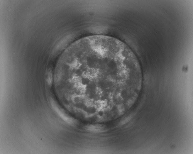 X0000110950069200907022207