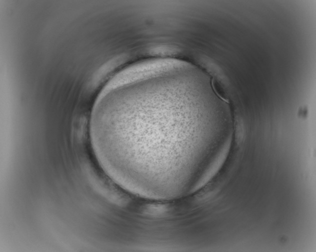 X0000110950071200907022207