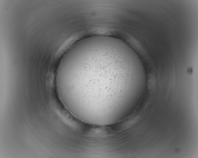 X0000110950072200907022207