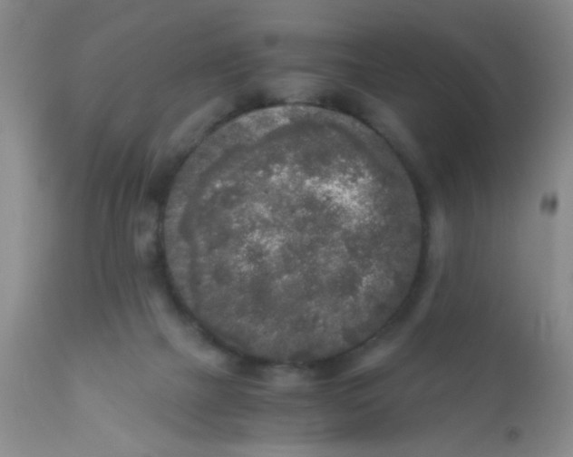 X0000110950073200907022207