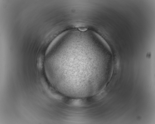 X0000110950074200907022207