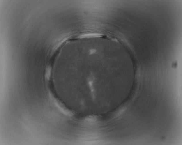 X0000110950076200907022207