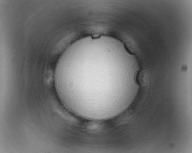 X0000110950077200907022207