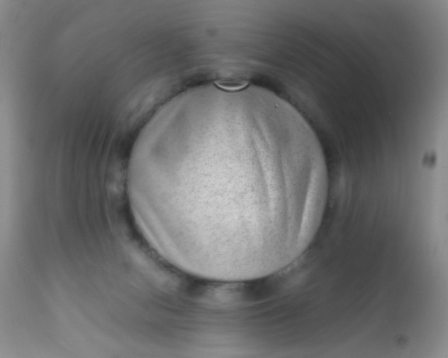 X0000110950078200907022207