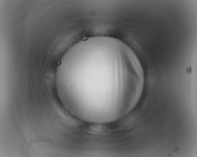 X0000110950079200907022207