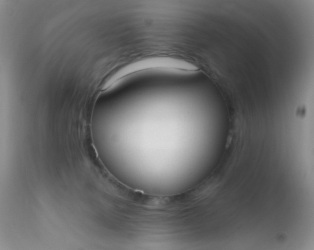 X0000110950080200907022207