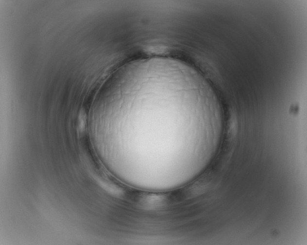 X0000110950081200907022207