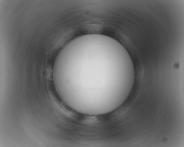 X0000110950083200907022207