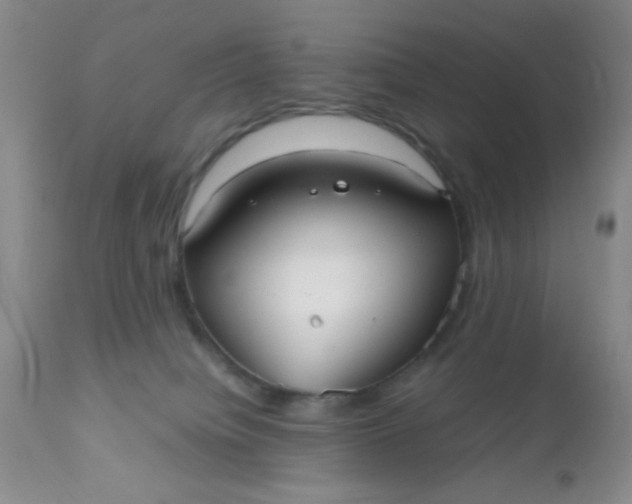 X0000110950084200907022207