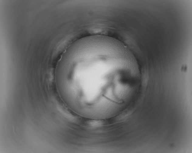 X0000110950085200907022207