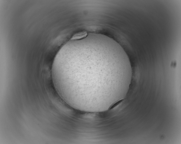 X0000110950086200907022207