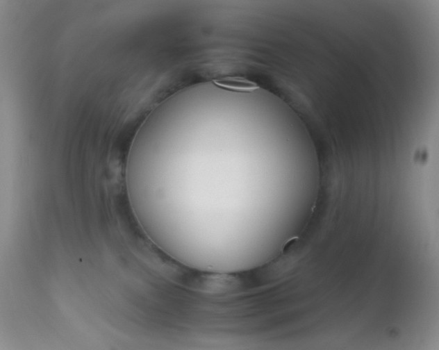 X0000110950087200907022207