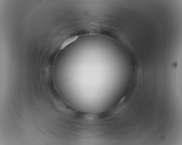 X0000110950088200907022207