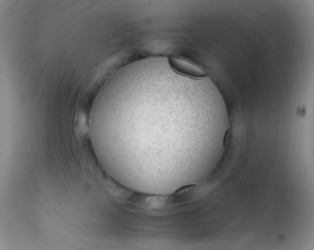 X0000110950089200907022207