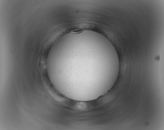 X0000110950091200907022207