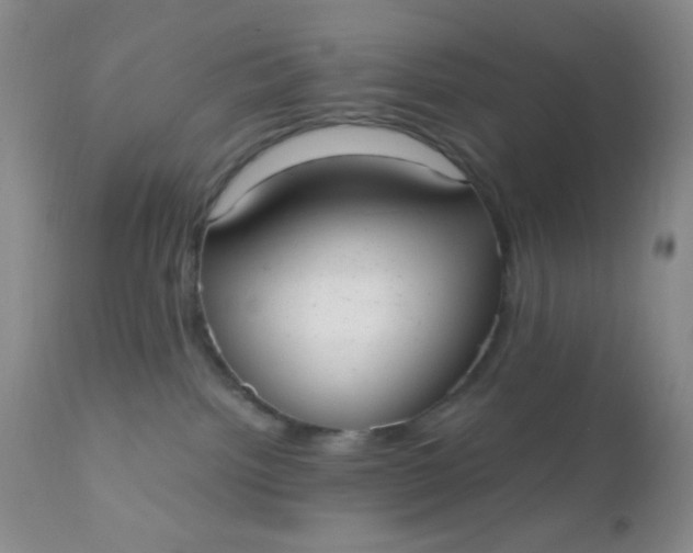 X0000110950092200907022208