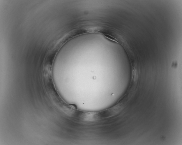 X0000110950093200907022208