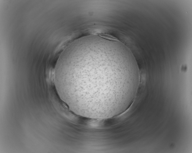 X0000110950094200907022208