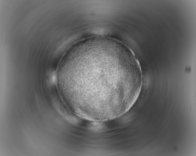 X0000110950095200907022208