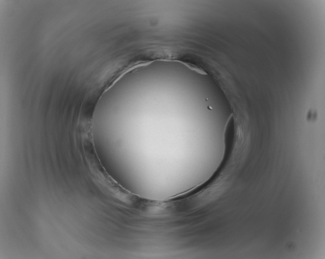 X0000110950096200907022208