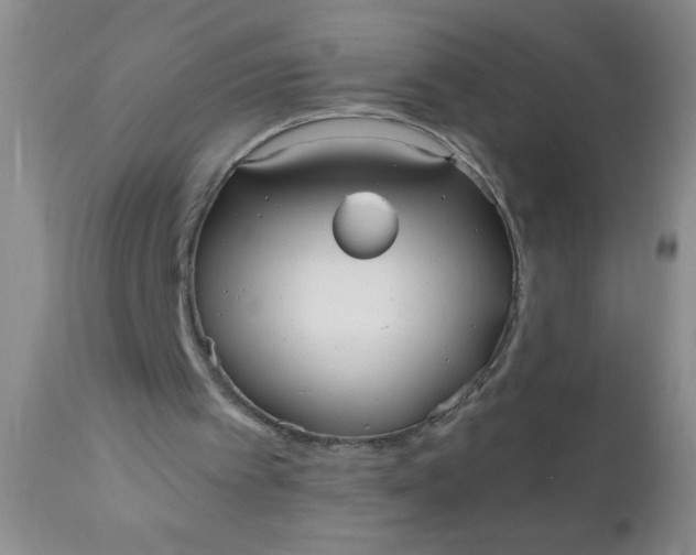 X0000110950097200907022207