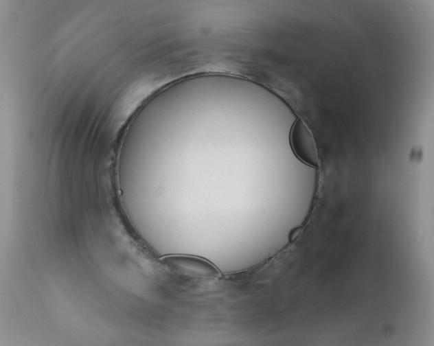 X0000110950098200907022207